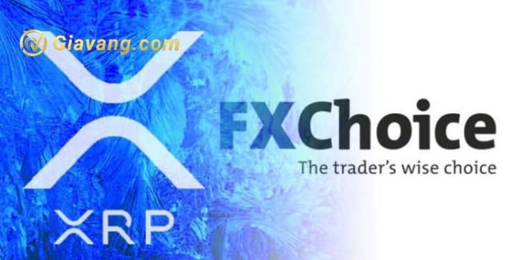 Cách mở tài khoản sàn vàng FX Choice 1 FX Choice