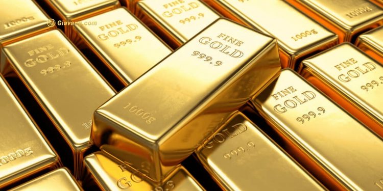 Giá vàng trong nước hôm nay 6/9: Vàng SJC tiếp tục tăng đầu tuần 1 Giá vàng trong nước hôm nay 6/9: Vàng SJC tiếp tục tăng đầu tuần