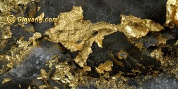 Japan Gold giao nhau 125 g / tấn vàng từ 64,2 m tại mỏ Ryuo 5 Khai thác vàng