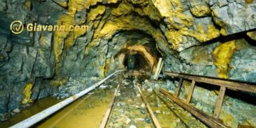 Torex dự kiến sản lượng vàng sẽ giảm vào năm 2024 10 Khai thác vàng