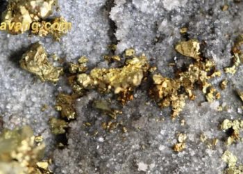 Vàng trên vách đá