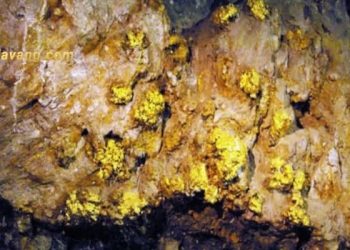 Sản lượng vàng