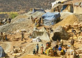 Mỏ vàng Burkina Faso