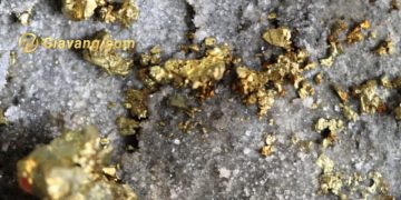 Caledonia mua lại mỏ vàng Maligreen 5 vàng