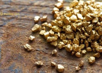 Gần 30% lượng vàng xuất khẩu của Brazil là bất hợp pháp