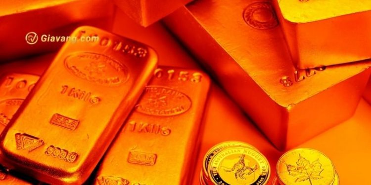 Giá vàng trong nước hôm nay 12/10: Giá vàng SJC đứng yên 1 Giá vàng trong nước hôm nay 12/10: Giá vàng SJC đứng yên