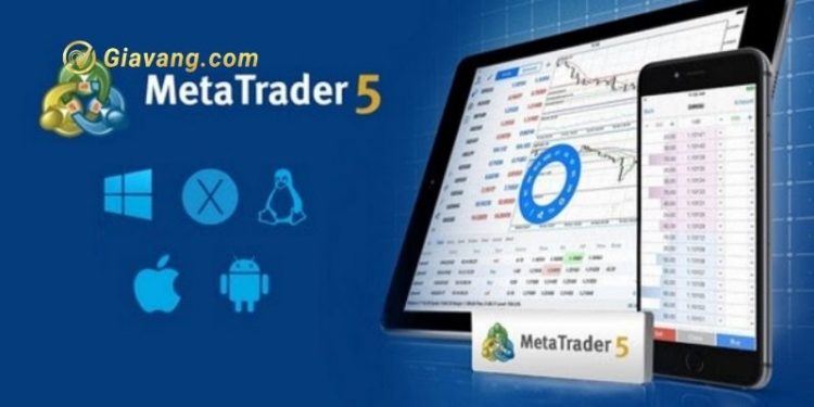 MT5 là gì? Hướng dẫn sử dụng MetaTrader 5 hiệu quả? 1 MT5 là gi