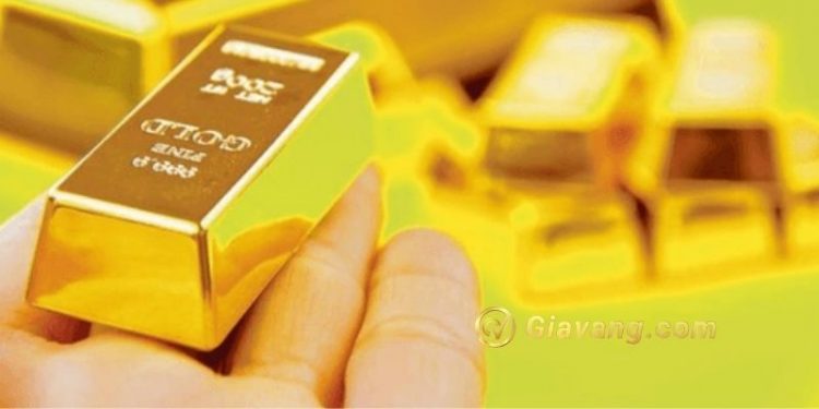 Giá vàng trong nước hôm nay 23/11: Giá vàng SJC tiếp tục giảm 1 Giá vàng trong nước ngày 23/11