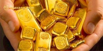 Giá vàng trong nước hôm nay 3/11: Giá vàng SJC giảm nhẹ 8 Giá vàng trong nước ngày 3/11