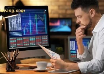 Hướng dẫn tra cứu giấy phép sàn forex
