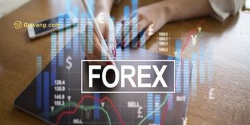 Lot là gì? Có bao nhiêu kích thước lot trong Forex? Cách tính lot
