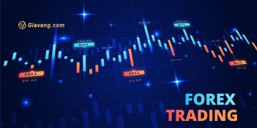Phiên giao dịch Forex lý tưởng theo giờ Việt Nam