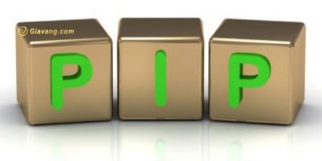 Tìm hiểu Pip là gì? và cách tính Pip trong Forex