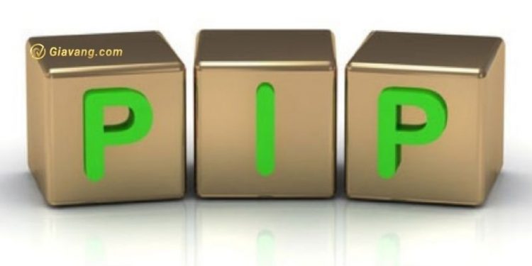 Tìm hiểu Pip là gì? và cách tính Pip trong Forex 1 Tìm hiểu Pip là gì? và cách tính Pip trong Forex
