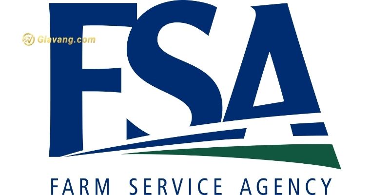 Giấy phép FSA