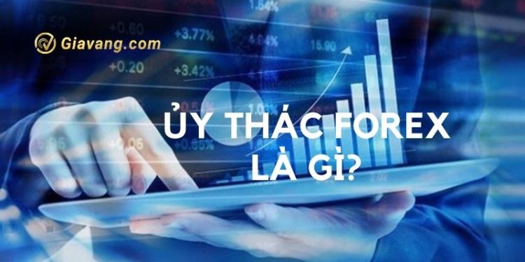 Ủy thác Forex là gì? 1 Ủy thác Forex là gì?