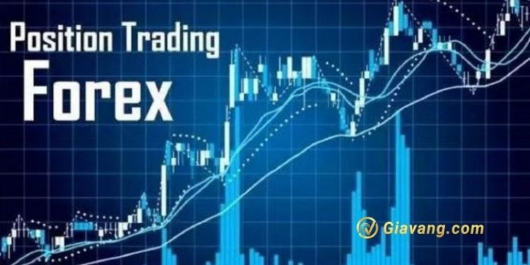 Position Trading là gì? Position Trading phù hợp với ai?