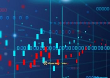 Tìm hiểu chứng khoán phái sinh