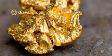 Giá vàng tuần qua 10/1-14/1: Giá vàng không ổn định 2 Giá vàng tuần qua 10/1 - 14/1