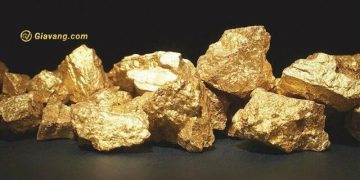 Fortitude Gold đệ trình kế hoạch hoạt động