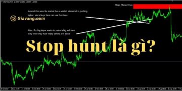 Stop Hunt là gì? Chiến lược tránh Stop Hunt 4 Stop Hunt là gì? Chiến lược tránh Stop Hunt