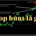 Stop Hunt là gì? Chiến lược tránh Stop Hunt