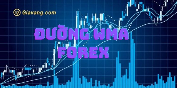 WMA là gì? Cách sử dụng đường trung bình trượt có trọng số 1 WMA là gì? Cách sử dụng đường trung bình trượt có trọng số