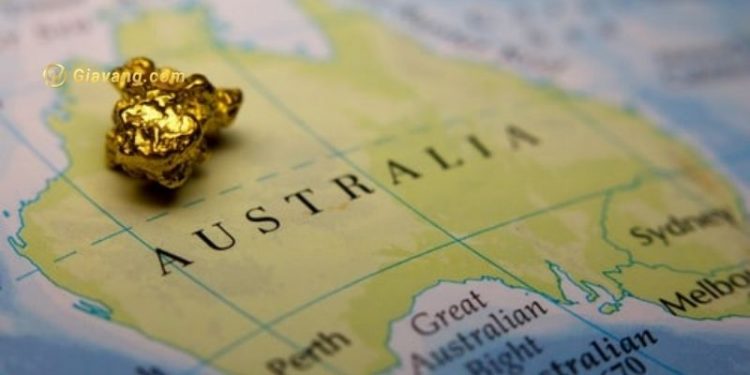 Vista Gold mang lại kết quả cho dự án vàng Mt Todd