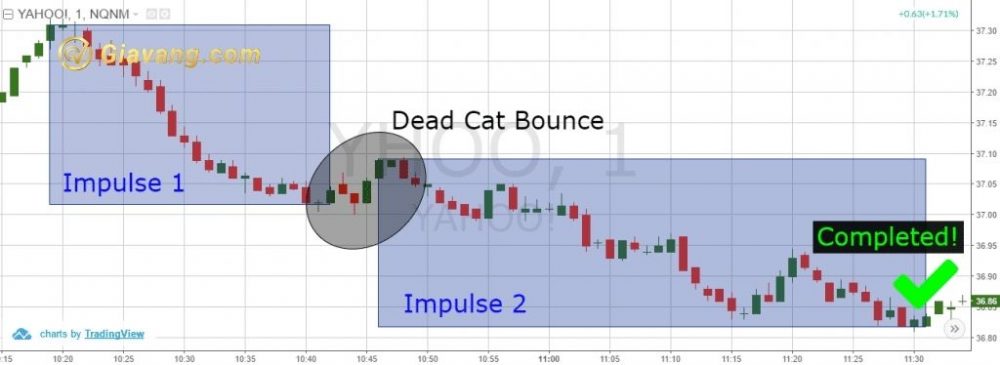 Mô hình giá Dead Cat Bounce – Cú Nảy Mèo Chết là gì?