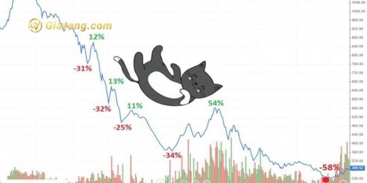 Mô hình giá Dead Cat Bounce – Cú Nảy Mèo Chết là gì?