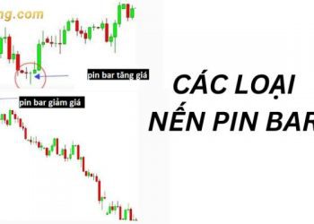 Nến Pin Bar là gì? Các loại nến Pinbar đảo chiều trên thị trường 6 Nến Pin Bar là gì? Các loại nến Pinbar đảo chiều trên thị trường