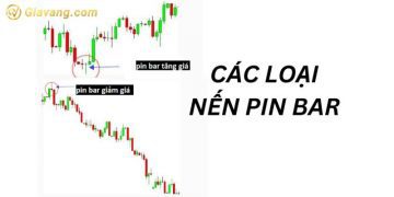 Nến Pin Bar là gì? Các loại nến Pinbar đảo chiều trên thị trường