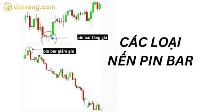 Nến Pin Bar là gì? Các loại nến Pinbar đảo chiều trên thị trường 1 Nến Pin Bar là gì? Các loại nến Pinbar đảo chiều trên thị trường