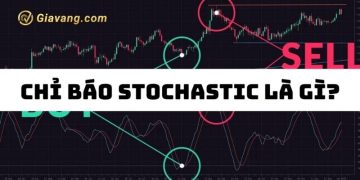 Stochastic Oscillator là gì? Cách dùng chỉ báo Stochastic Oscillator 9 Stochastic Oscillator là gì? Cách dùng chỉ báo Stochastic Oscillator
