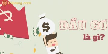 Đầu cơ là gì? Đầu tư và đầu cơ khác nhau ra sao? Ví dụ về đầu cơ 7 Đầu cơ là gì? Đầu tư và đầu cơ khác nhau ra sao? Ví dụ về đầu cơ