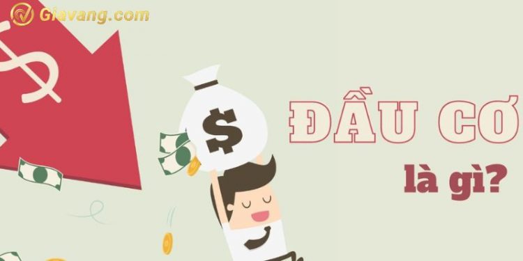 Đầu cơ là gì? Đầu tư và đầu cơ khác nhau ra sao? Ví dụ về đầu cơ 1 Đầu cơ là gì? Đầu tư và đầu cơ khác nhau ra sao? Ví dụ về đầu cơ