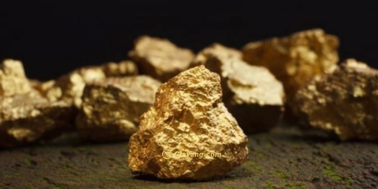 Phân tích giá vàng 23/3: Vàng đổi mới mức cao nhất 1 Phân tích giá vàng 23/3: Vàng đổi mới mức cao nhất