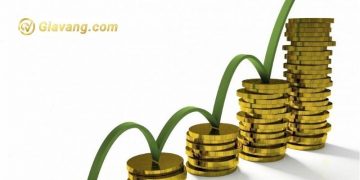 Dòng tiền ròng là gì? 5 Dòng tiền ròng