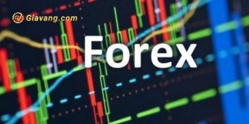 Đầu tư hình thức forex có bị cấm hay không?