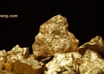 GCM Mining tăng sản lượng vàng ở Colombia vào tháng 2 5 GCM Mining tăng sản lượng vàng ở Colombia vào tháng 2