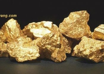 Osisko Mining khoan 431 g/t vàng tại Windfall 4 Osisko Mining khoan 431 g/t vàng tại Windfall