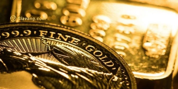 Dự án vàng của Newmont Coffee được Yukon chấp thuận