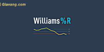 Chỉ báo Williams và cách sử dụng hiệu quả trong Forex 3 Chỉ báo Williams là gì