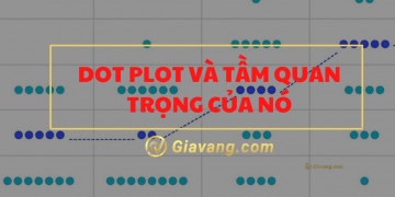 Dot Plot và mức độ quan trọng của nó trong Forex 3 Dot Plot là gì