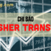 Chỉ báo Fisher Transform