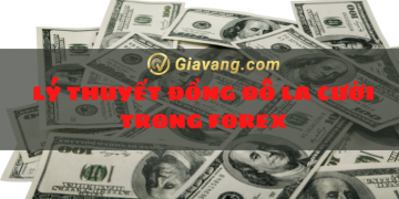 Thuyết đồng Đô la cười và những vấn đề cần lưu ý 5 Lý thuyết đồng Đô la cười