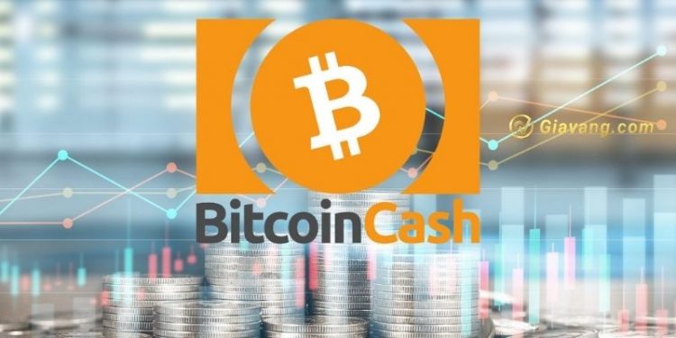Bitcoin Cash là gì? Làm cách nào để giao dịch và sở hữu Bitcoin Cash 