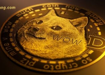 Dogecoin là gì? Hướng dẫn giao dịch Dogecoin dành cho người mới bắt đầu