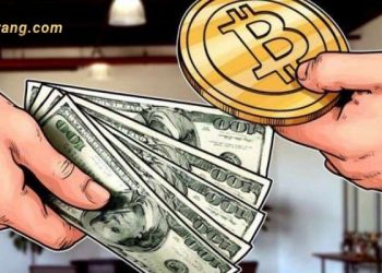 Mua Bitcoin ở đâu? Hướng dẫn mua Bitcoin bằng momo đơn giản