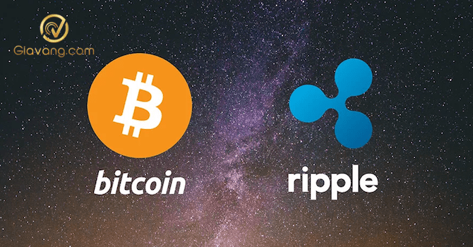 Ripple là gì? Phân biệt giữa Ripple và Bitcoin